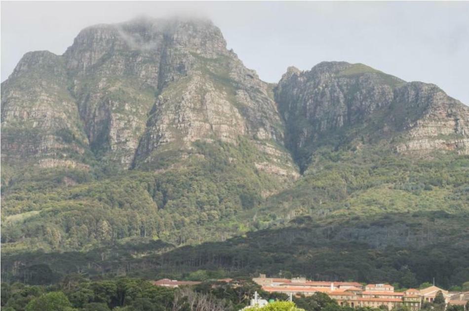 The Rondebosch Apartment Cape Town Exterior photo